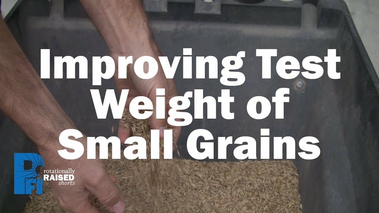 Improving Test Weight Of Small Grains Practical Farmers Of Iowa