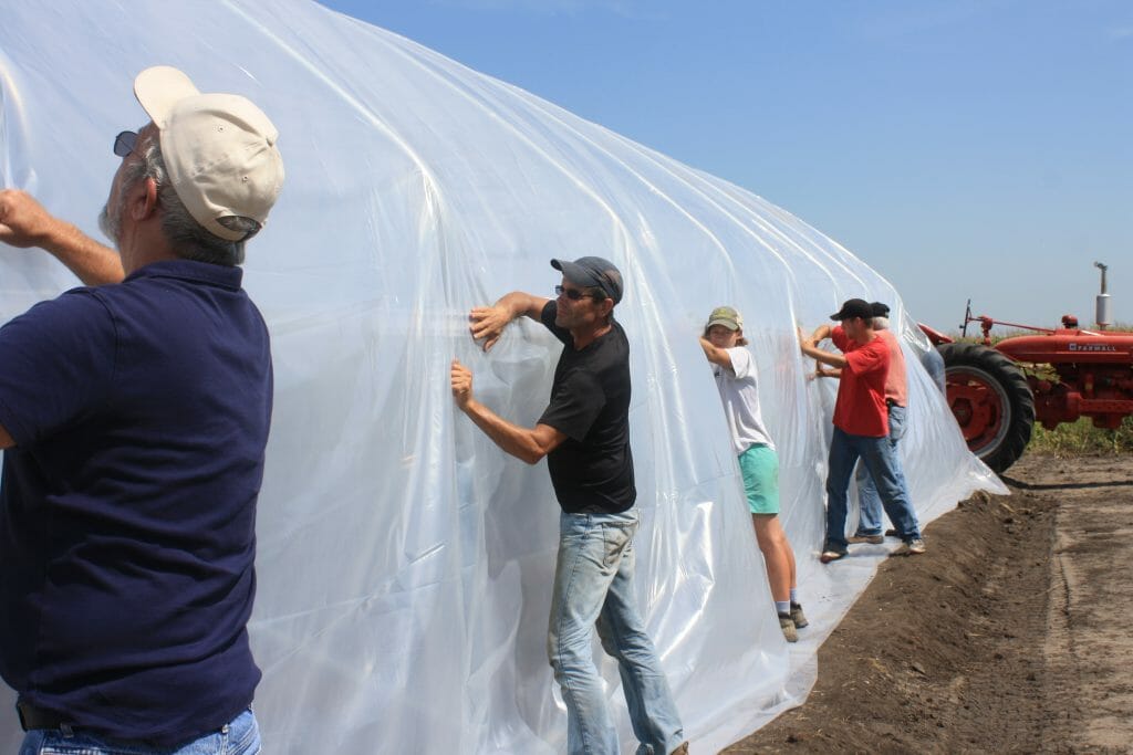5 Hanson high tunnel 2015 (280) tightening plastic with wiggle