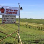 1. Zimmerman FD 2016 103 u pick sign 727x485