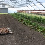 4. Libbey Landgraf FD 15 727x485