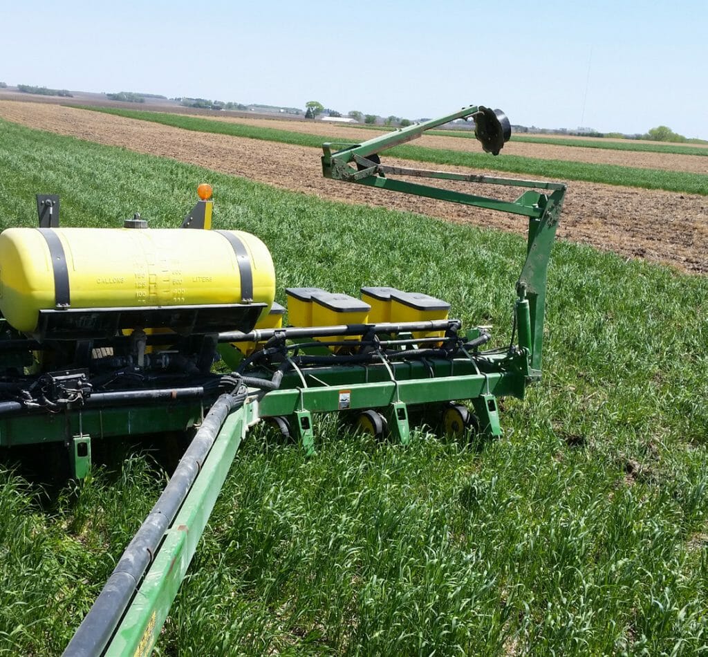 CC Term Ahead of Corn Photo 3