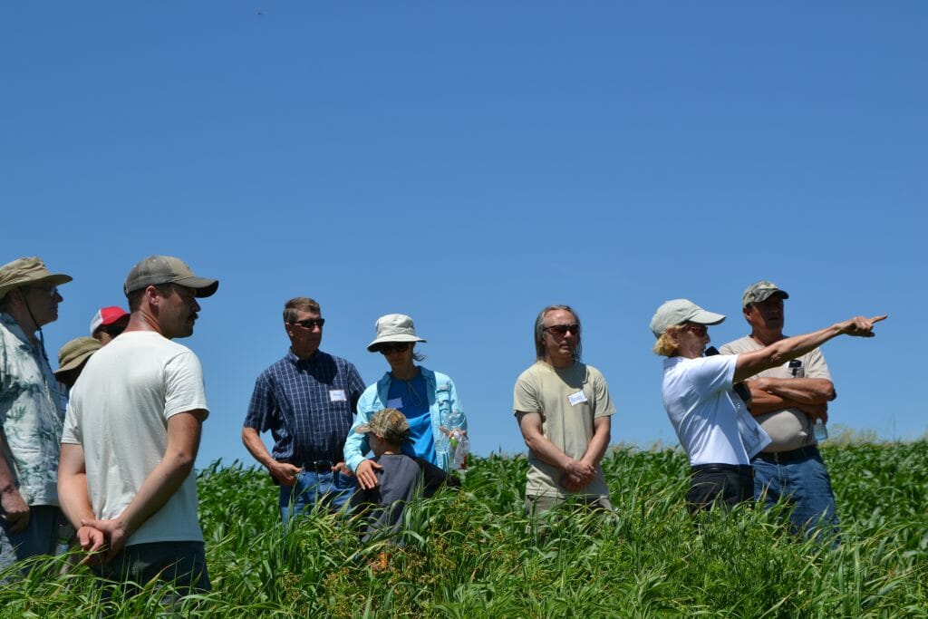 Maggie McQuown led attendees on a tour of their prairie strips where she pointed out several plant species native to Iowa.