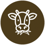 Icon Grazing