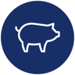 Icon Livestock
