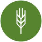 Icon SmallGrains