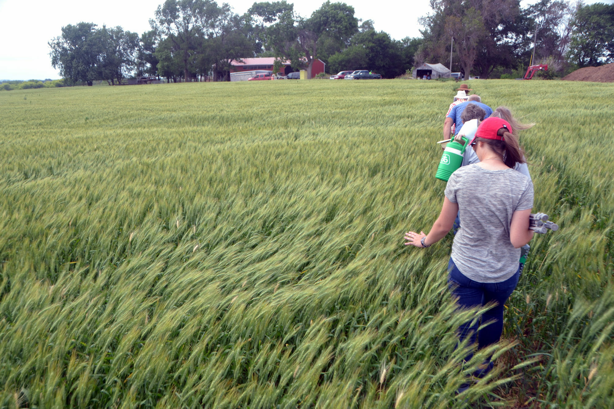 Why I Grow Small Grains Nathan Anderson Practical Farmers of Iowa