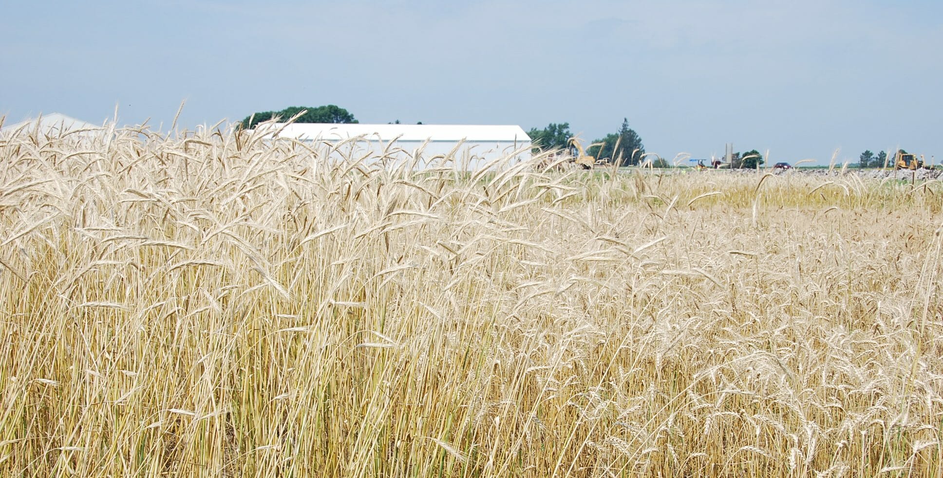 Rotationally Raised Video Series Practical Farmers of Iowa