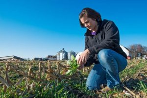 Kellie in cover crops ISA 727x485