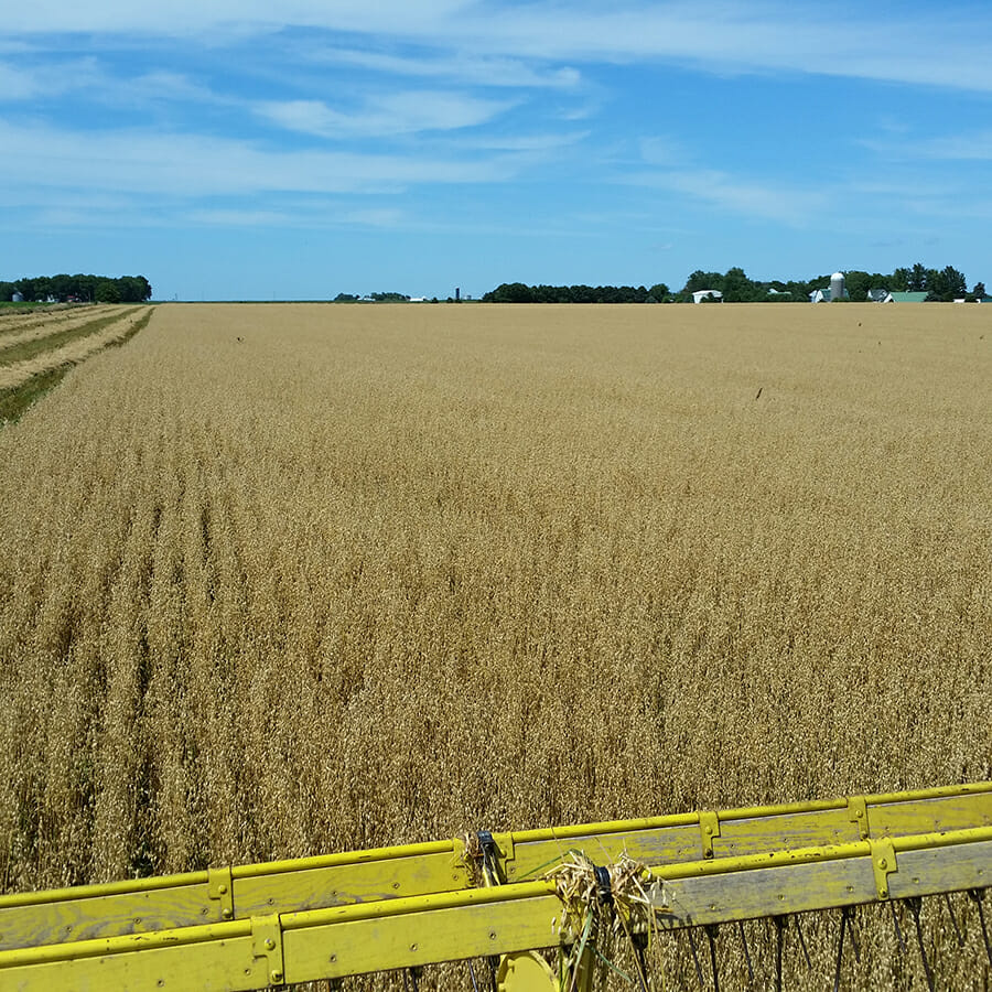 Small Grains Harvest Report - Practical Farmers of Iowa