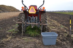 Wunderbar undercutter carrot harvest