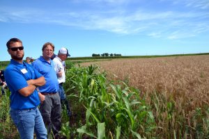 From left to right Matt Hoffman, Scott Nelson of ISA and Don Blair look at VNS rye
