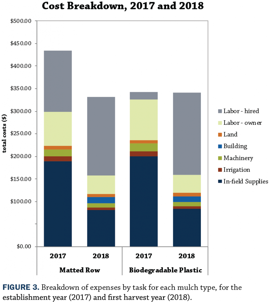 Cost breakdown of Strawberry enterprise budget