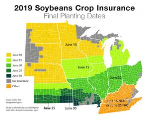 Soy final planting date