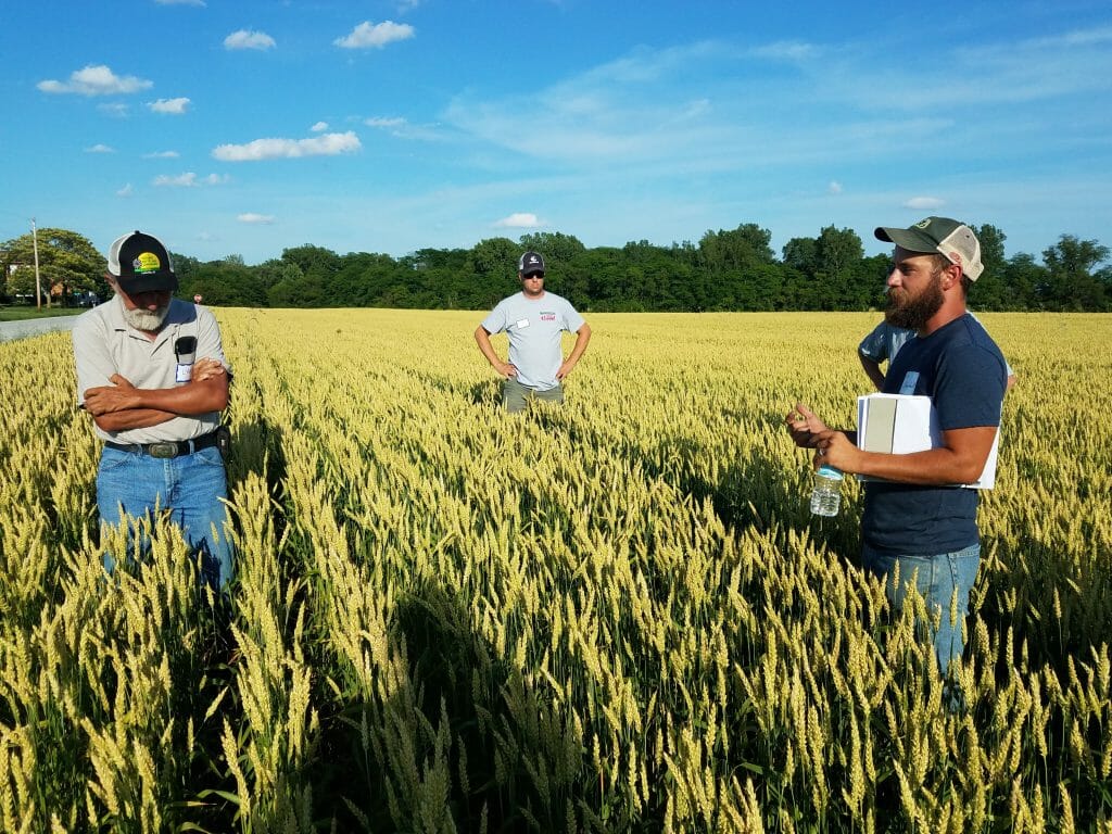 small grain field day