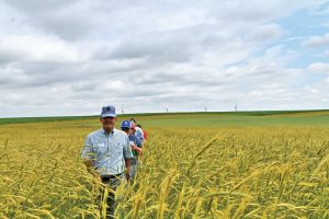 small grains field day