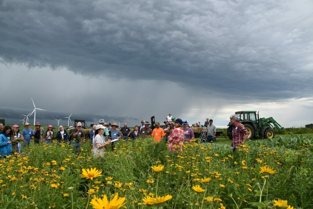 on farm prairie strip field day
