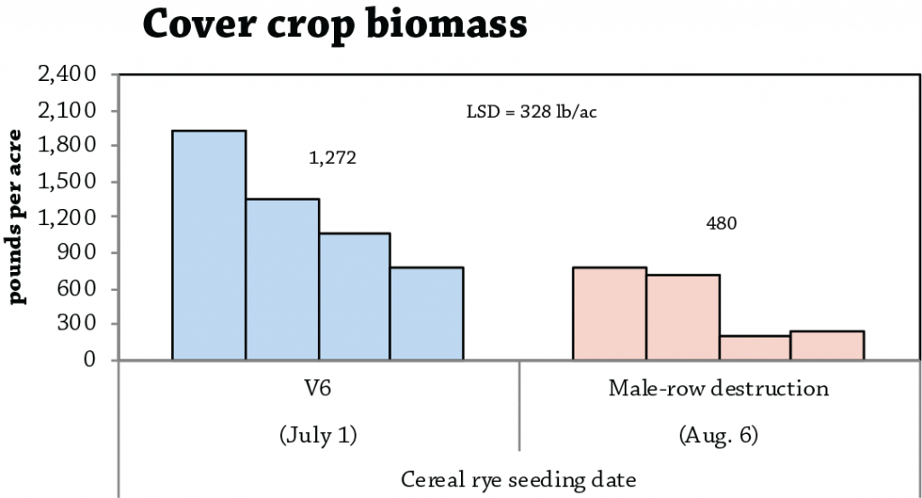 Cereal rye seeding date cover crop biomass in seed corn