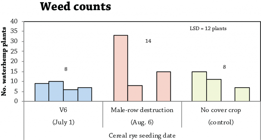 Weed count in cover crop seed corn