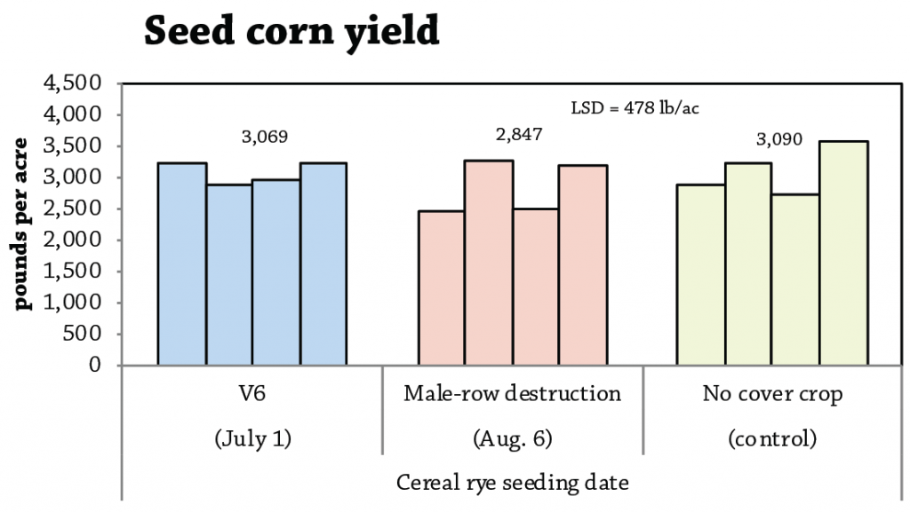 Interseeded seed corn yield