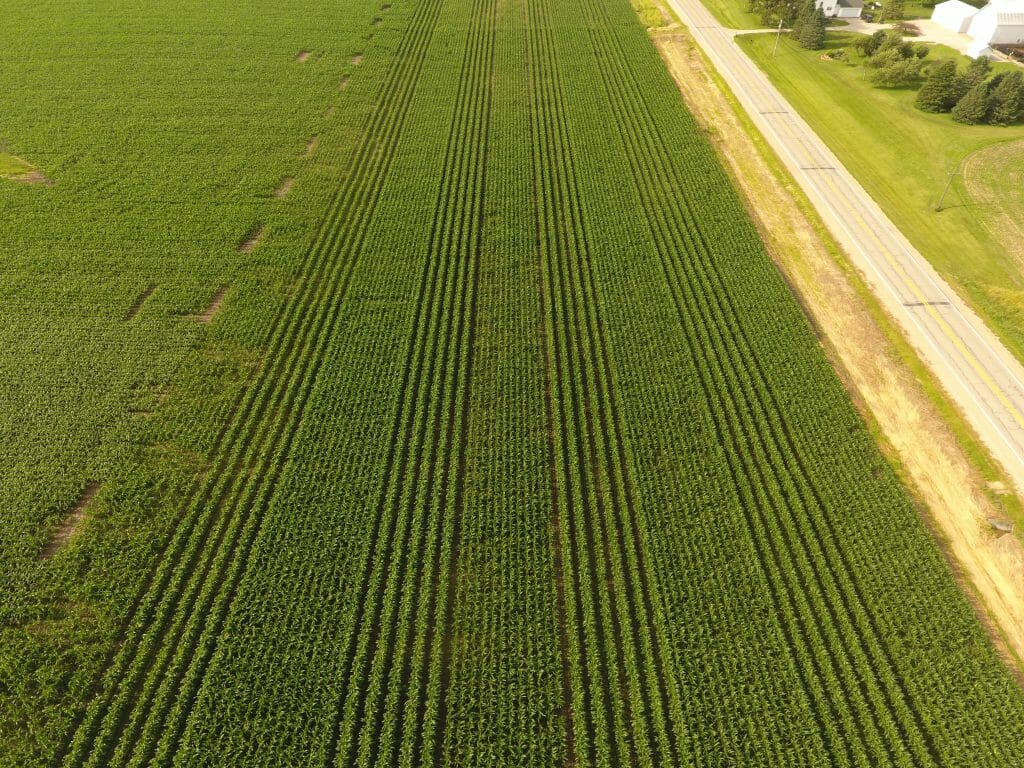 60 inch corn drone