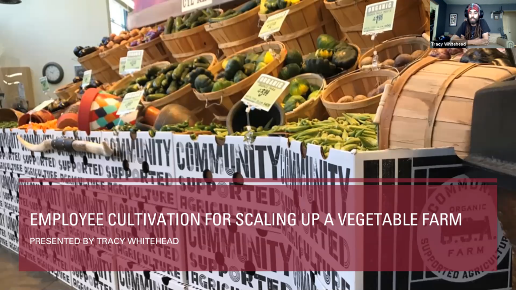 Employee Cultivation For Scaling Up A Vegetable Farm - 2021 Virtual ...