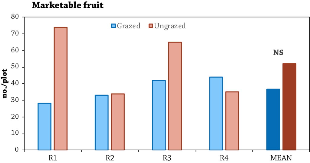 Grazing cc for squash fig 1