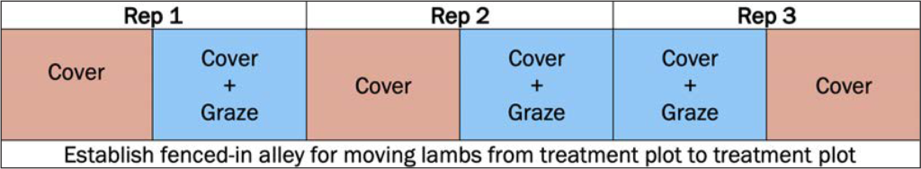 Grazing cc for squash fig a1