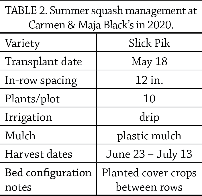 Grazing cc for squash table 2