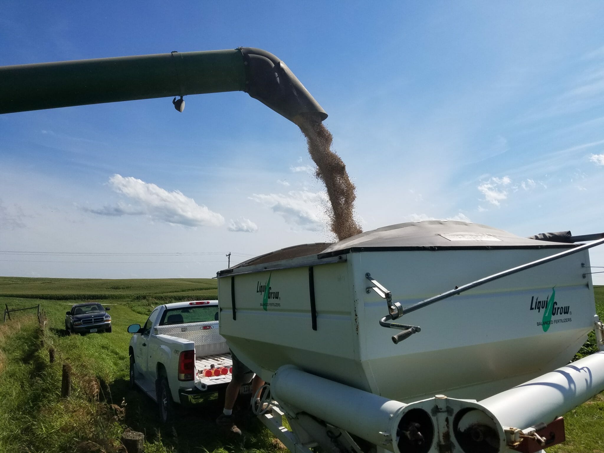 SmallGrain Harvest and PostHarvest Handling in the Little Sioux