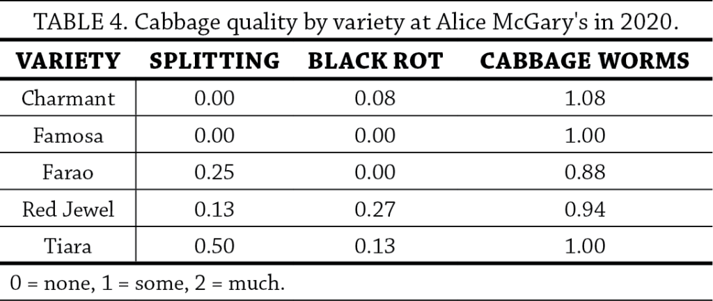 Cabbage Variety Trial Table 4