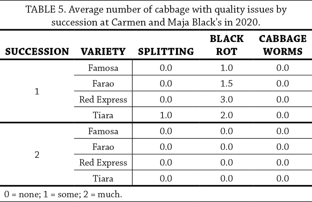 Cabbage Variety Trial Table 5
