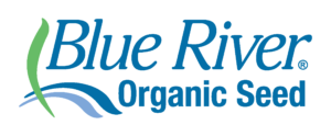 BlueRiver Logo cmyk