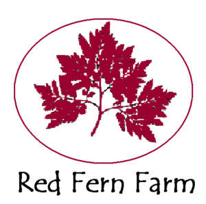 Red fern in circle words 4 best