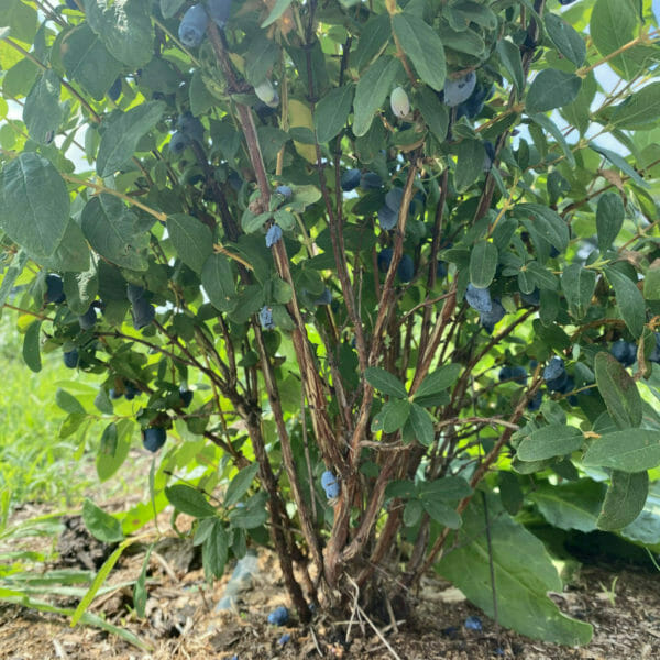 Practical News Meet our annual conference keynote speaker + Small