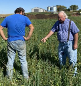 Vic madsen and david rosmann looking at vic's soil conditioning 'experiment'