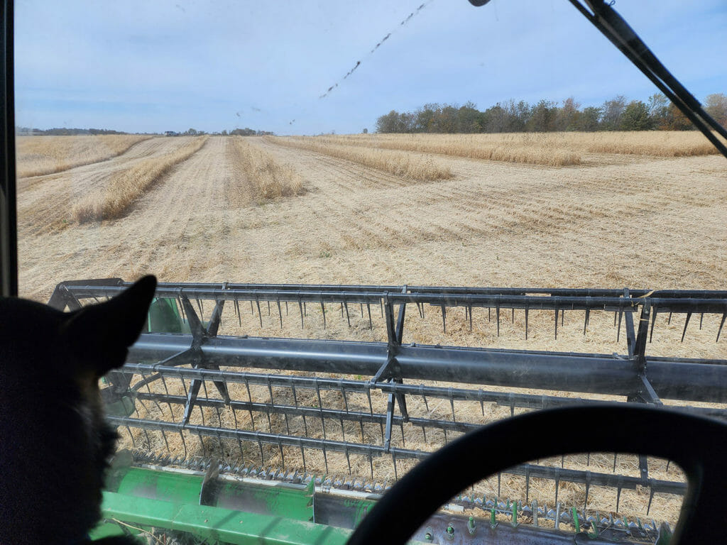 Harvesting