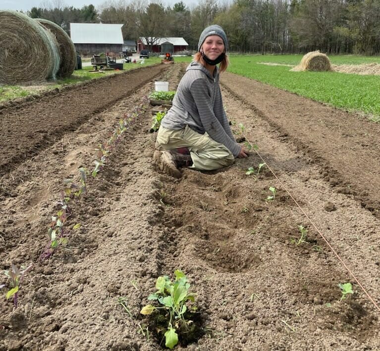 Ella Osterdgaard transplanting broccoli