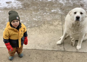 Eric Jensen kid dog