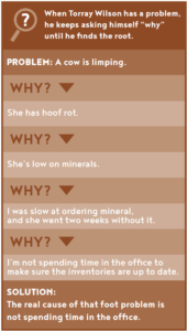 WilsonDecisionTree