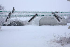 Winter clothesline at Genuine Faux Farm