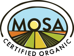 MOSA Logo