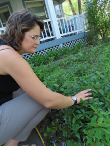 Sweet Tooth Farm Visit