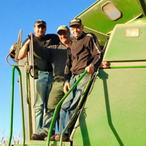 James, Dave, Zach Van Arkel Harvest 2014 cropped