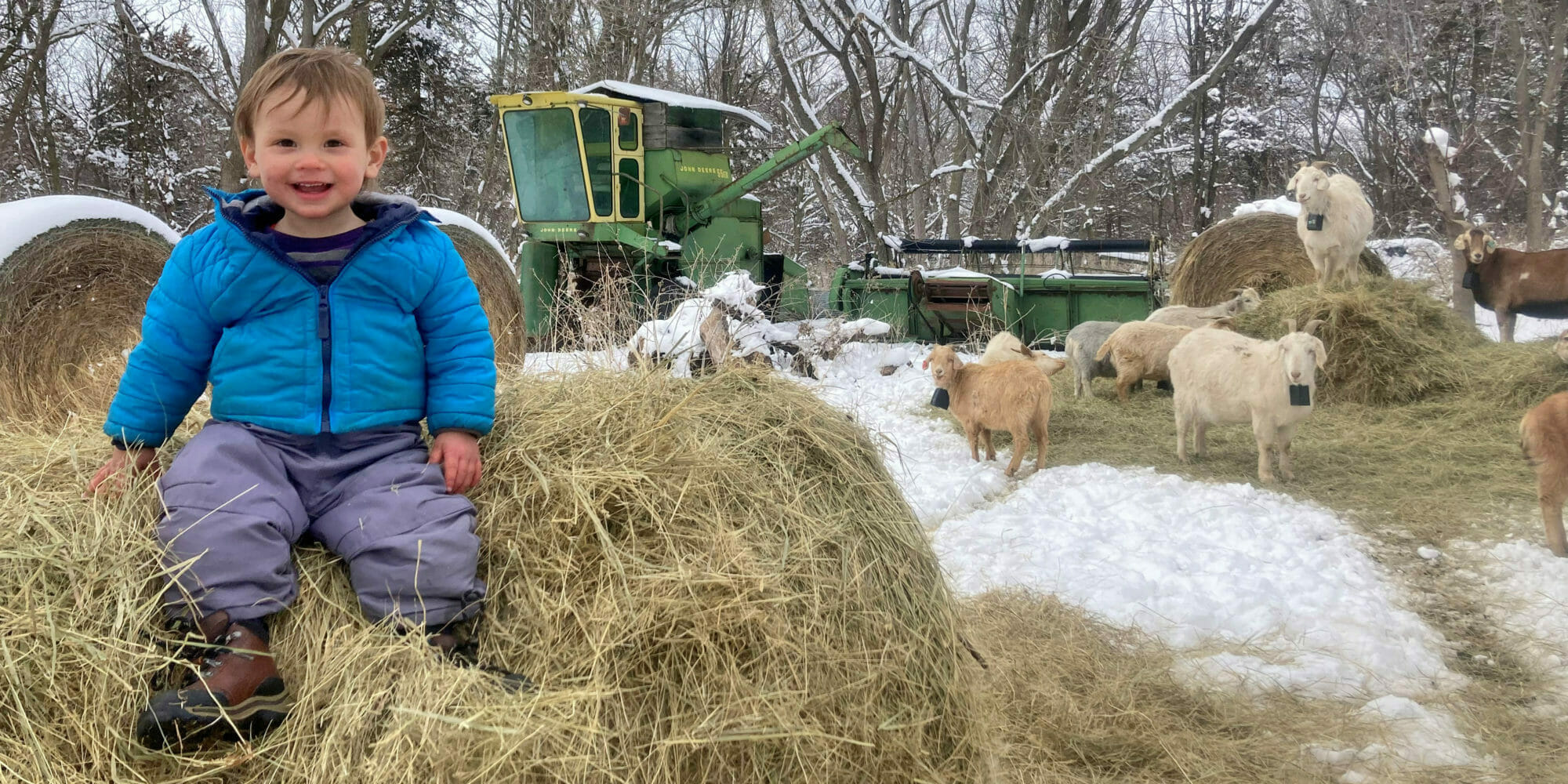 Owen Filbert sits on hay in the foreground while goats graze in the background.