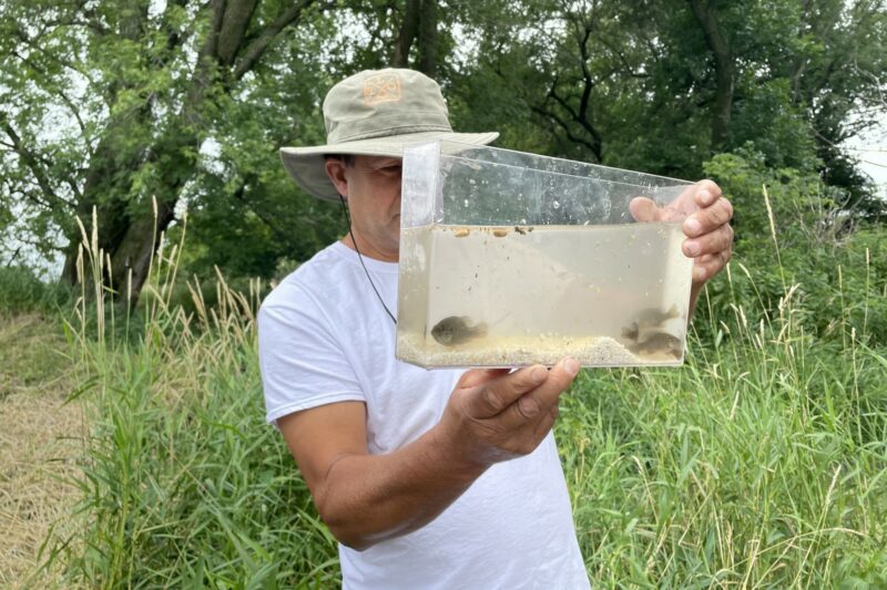 Purgatory Creek: A Tale of Oxbow Restoration on a Legacy Farm