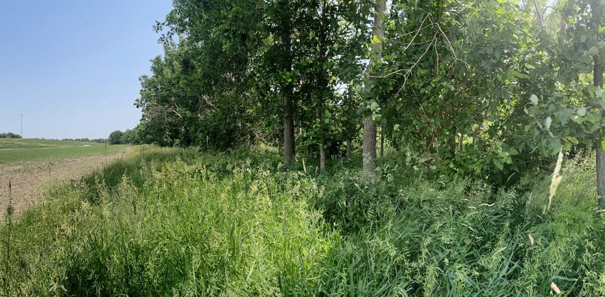 Creating a House for Nature: Precision Conservation on the Farm