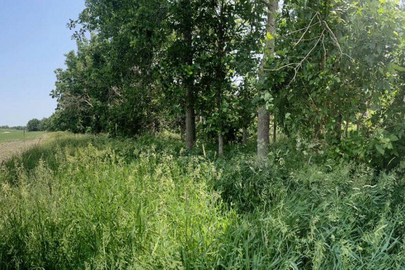 Creating a House for Nature: Precision Conservation on the Farm