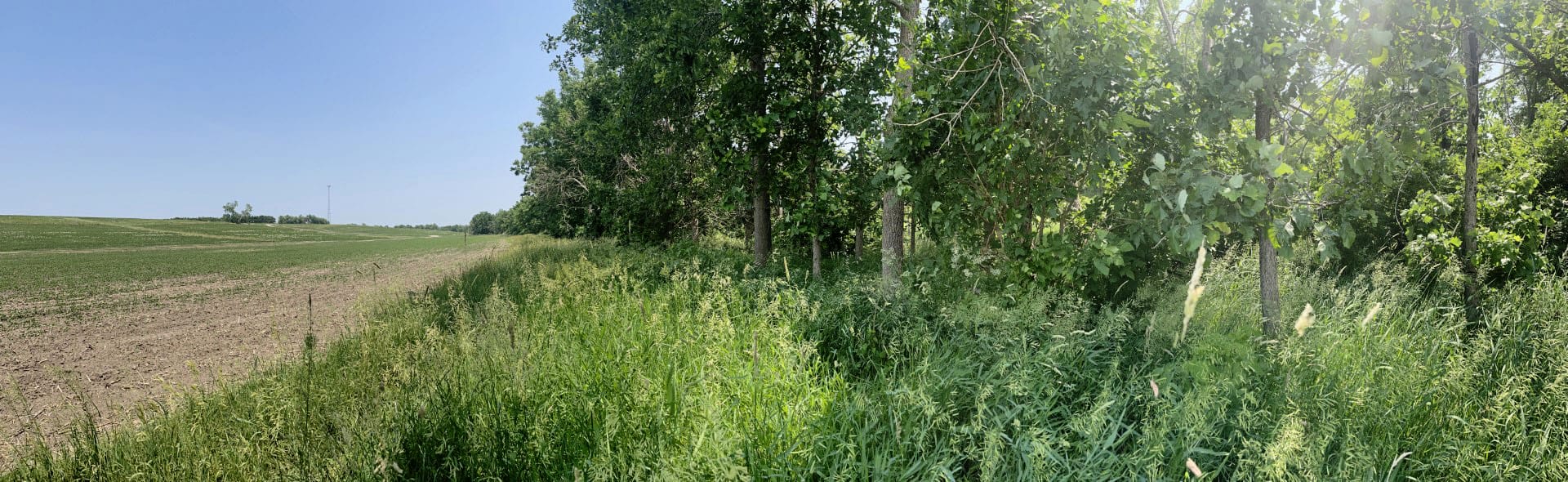 Fawcett saturated buffer zone edge of field 3