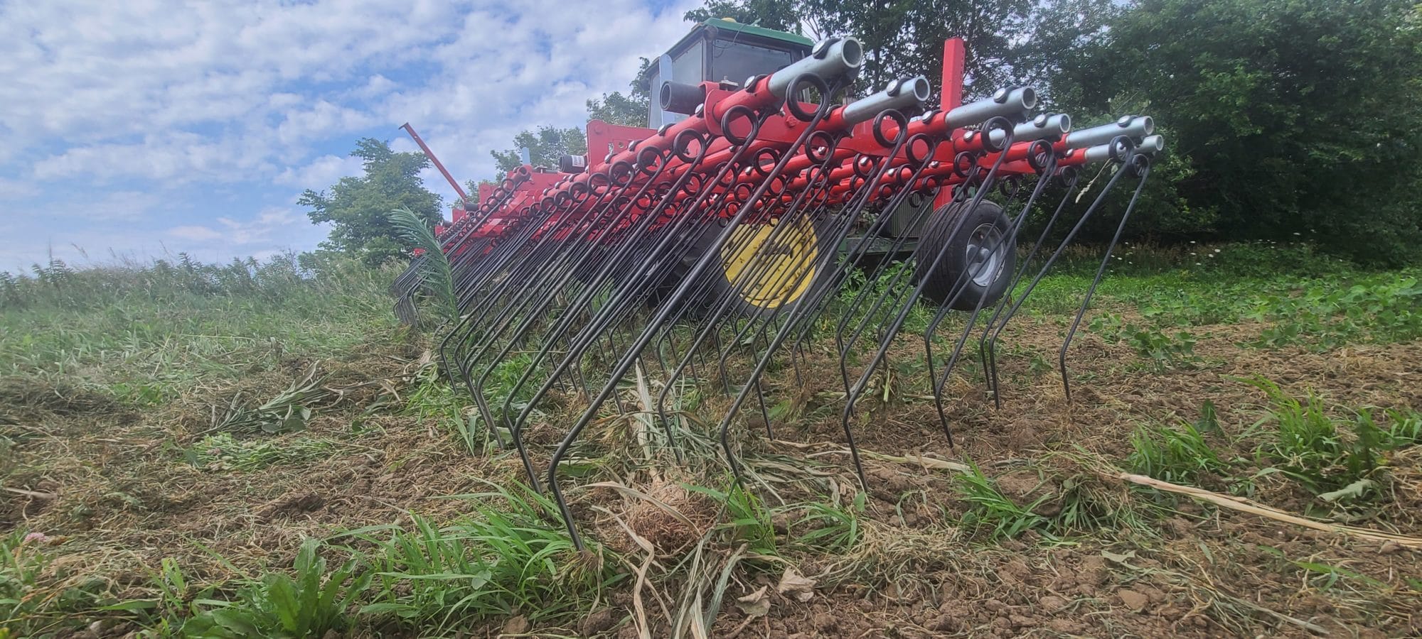 Sheetz tine weeder