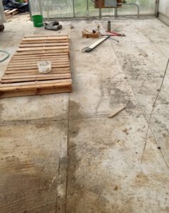 Amber Prochnow new wash and pack cement floor